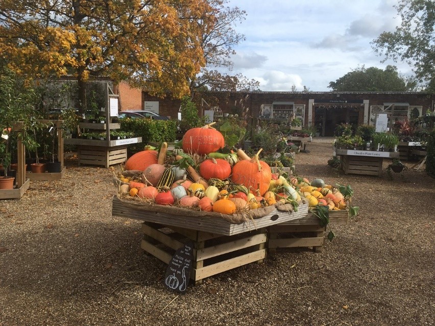 Stack of pumpkins, Cliveden